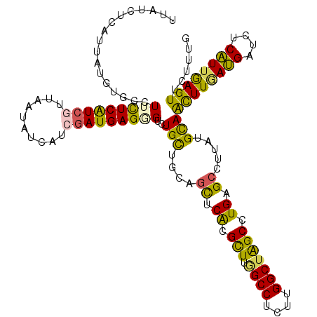 secondary structure
