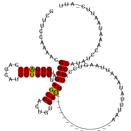 secondary structure