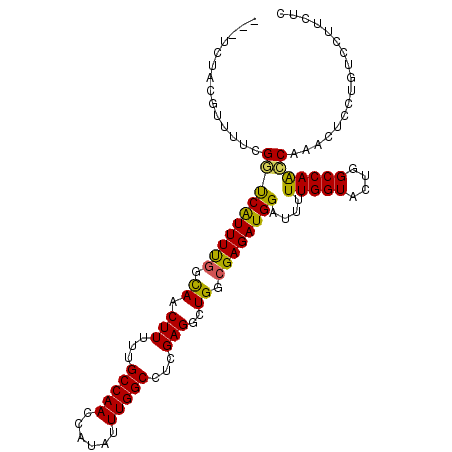 secondary structure