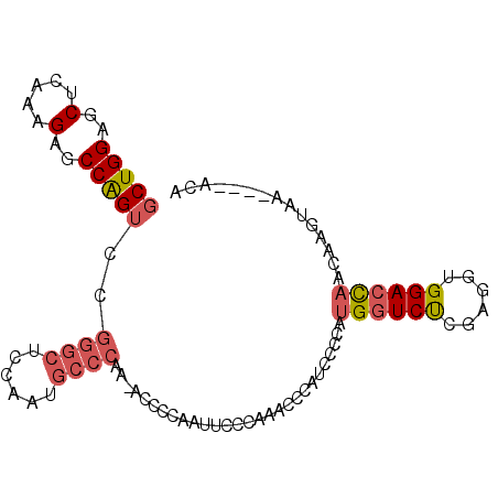 secondary structure