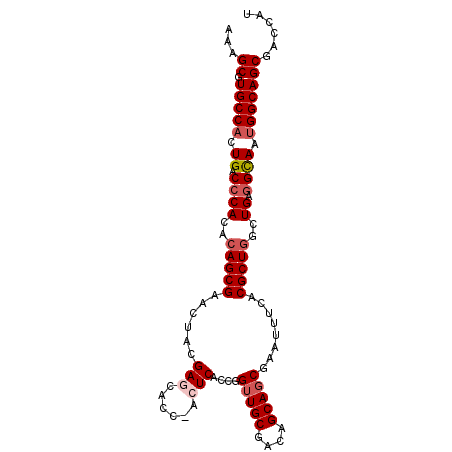 secondary structure