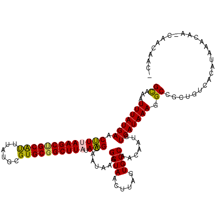 secondary structure
