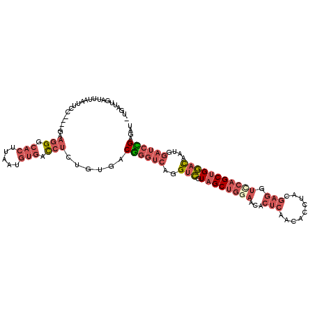 secondary structure