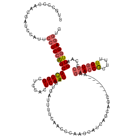 secondary structure