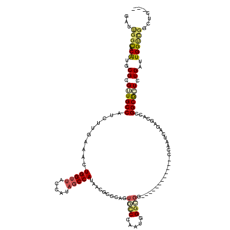 secondary structure