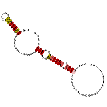 secondary structure