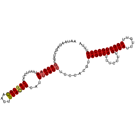 secondary structure