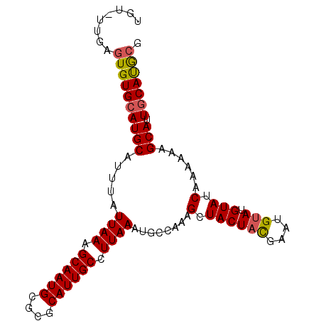 secondary structure