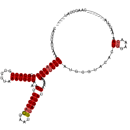 secondary structure