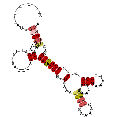 secondary structure
