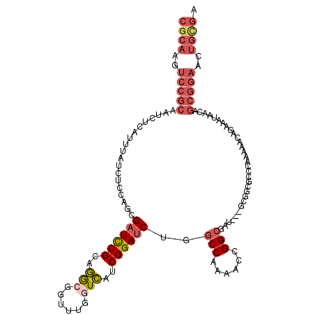 secondary structure