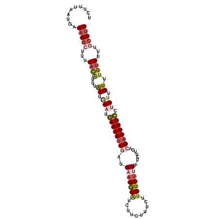 secondary structure