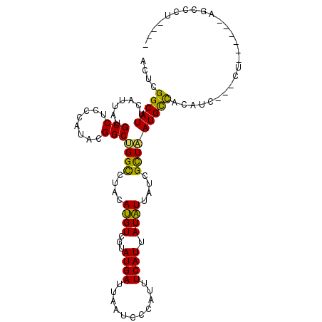 secondary structure