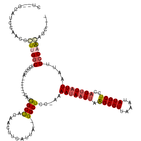 secondary structure