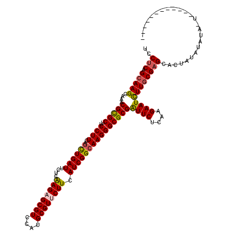 secondary structure