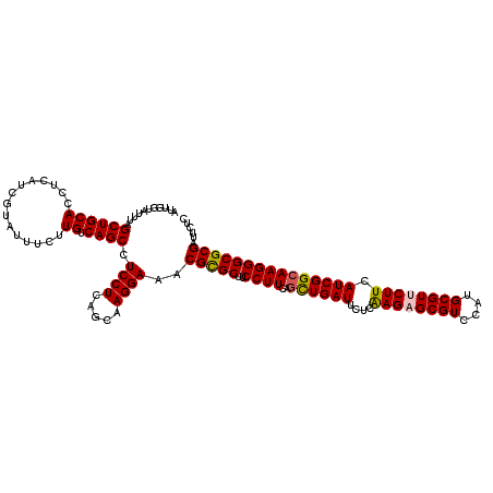 secondary structure