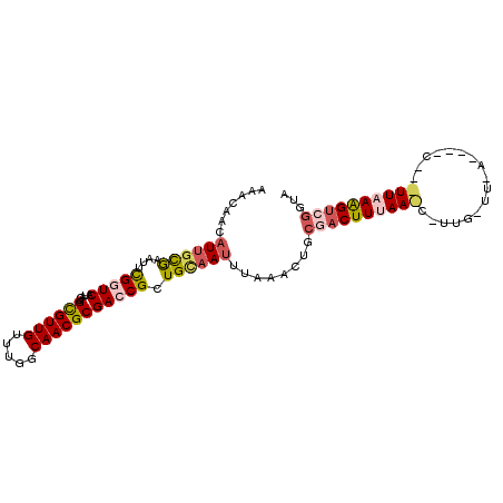 secondary structure