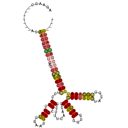 secondary structure