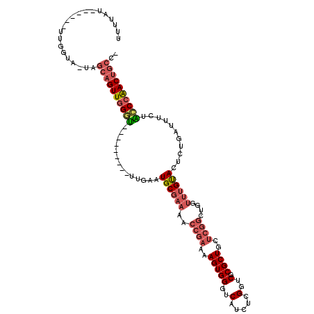 secondary structure