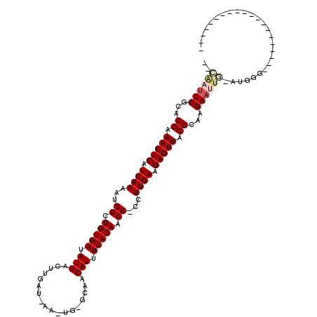 secondary structure