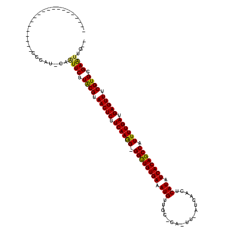 secondary structure