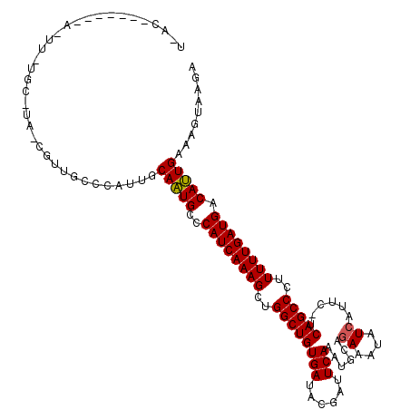secondary structure