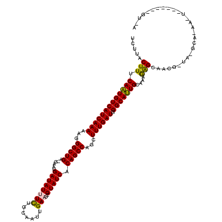secondary structure