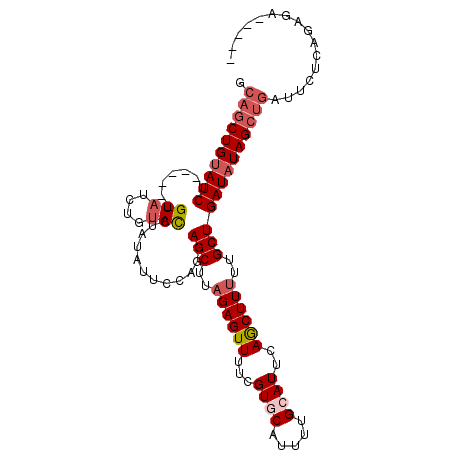 secondary structure
