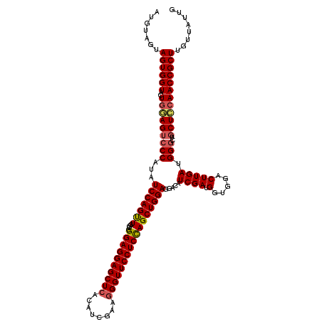 secondary structure