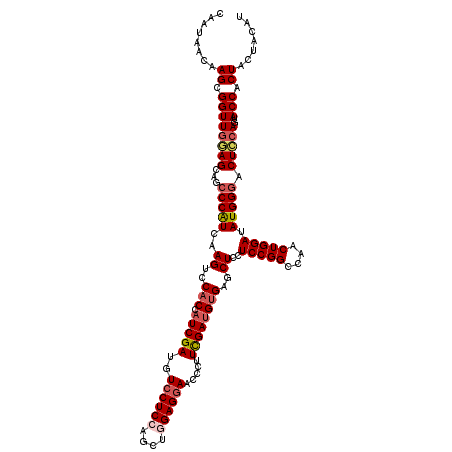 secondary structure