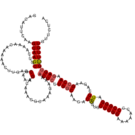 secondary structure