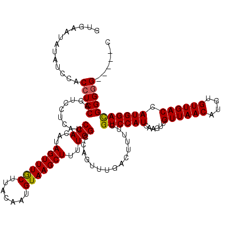 secondary structure