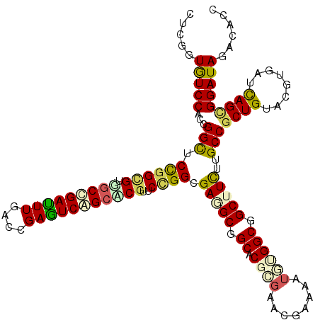 secondary structure