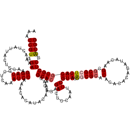 secondary structure