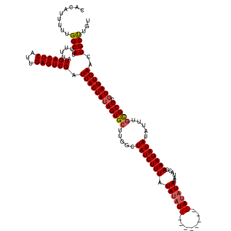 secondary structure