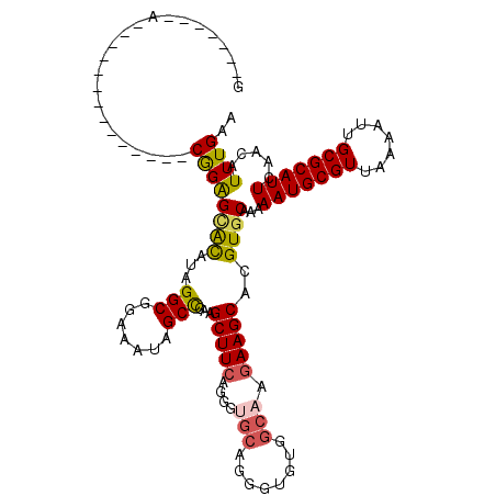 secondary structure