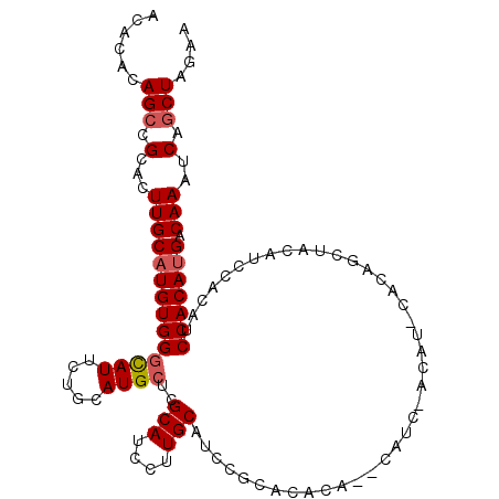 secondary structure