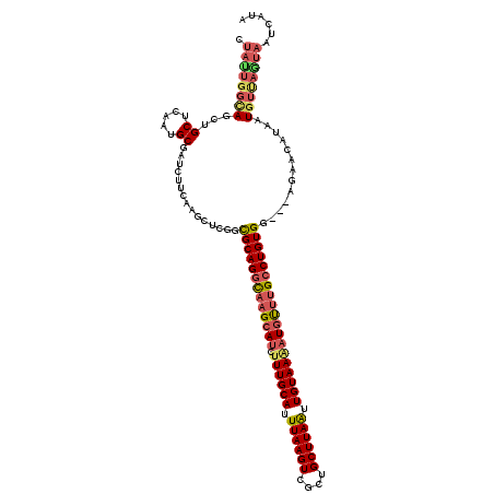 secondary structure