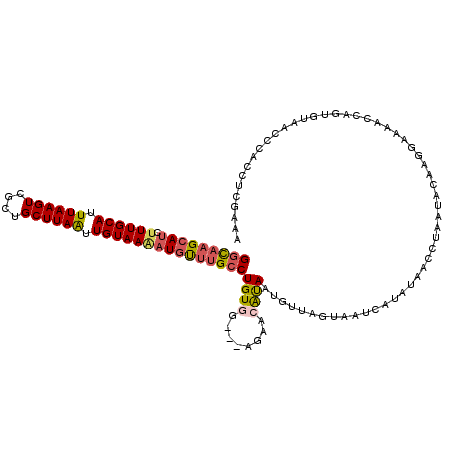 secondary structure