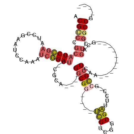 secondary structure