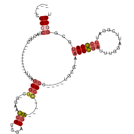 secondary structure