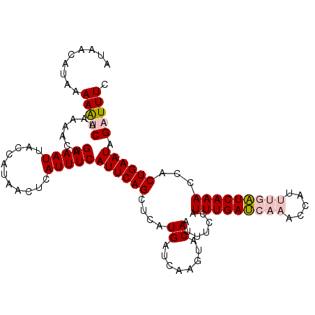 secondary structure