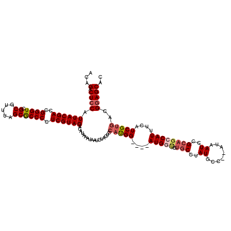 secondary structure