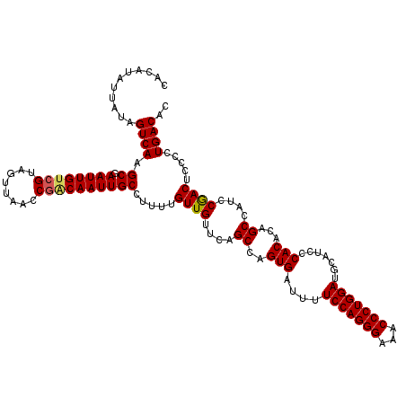 secondary structure