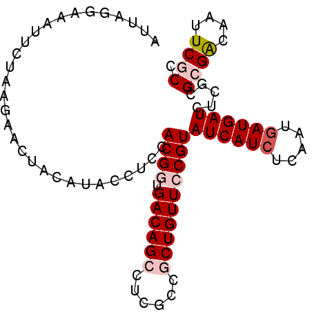 secondary structure
