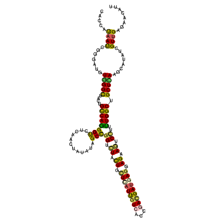 secondary structure