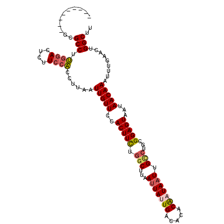 secondary structure