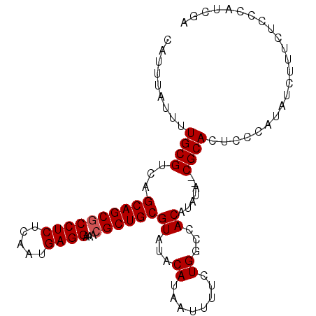 secondary structure