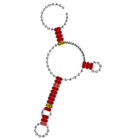secondary structure