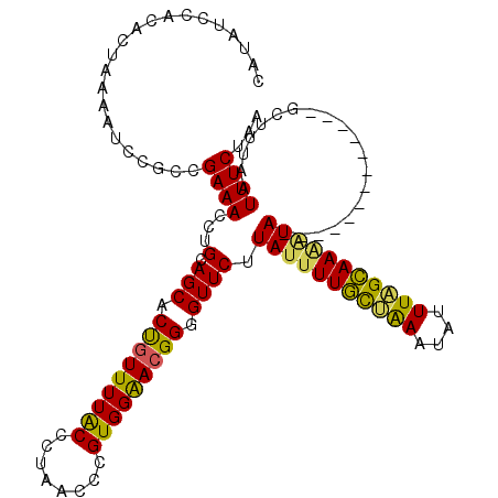 secondary structure